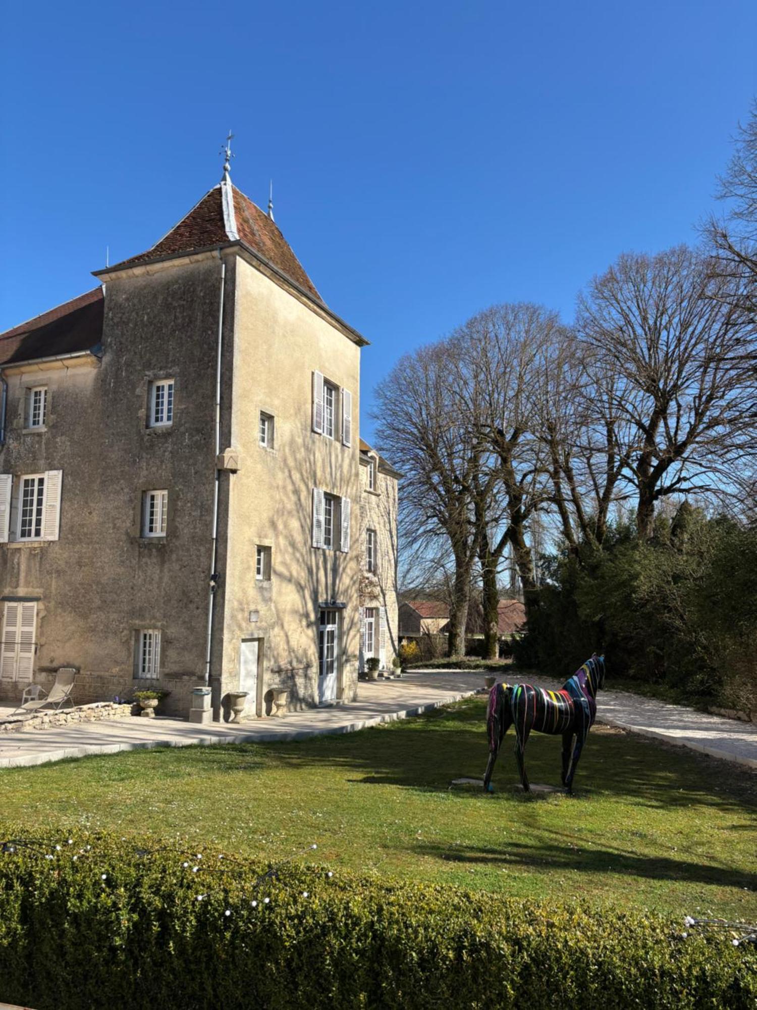 Chateau La Hussardiere Dampierre-sur-Salon Exterior photo